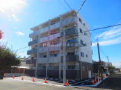 �{��s���S�����L�E���{�E�ߓ��E�����E�瑐 MS 1R NO.15501