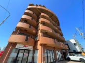 ‹{èŽs’†S•”‹{è‰w MS 1R NO.15556 ‹{èŽs’†S•”‹{è‰w MS 1R NO.15556